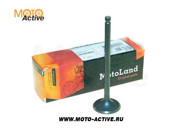 Клапан впускной IN CGN,CBN,CBB,NT