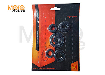 Сальник 153FMI 125см3 (полный набор)