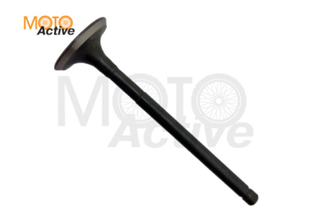 Клапан выпускной WELS EVOX200 (263085001001)