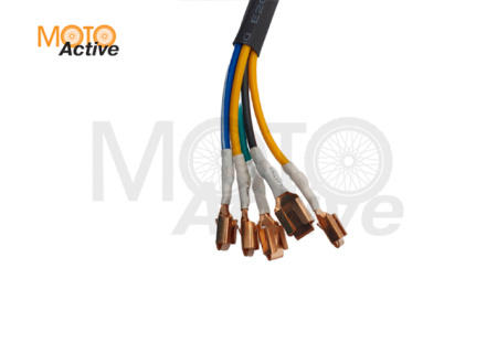 Статор генератора 169FMM (CB250) Sport001-006   (82120-I049-010043)