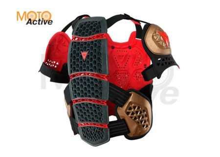 Защита тела Dainese MX1 Roost Guard Gold-Black