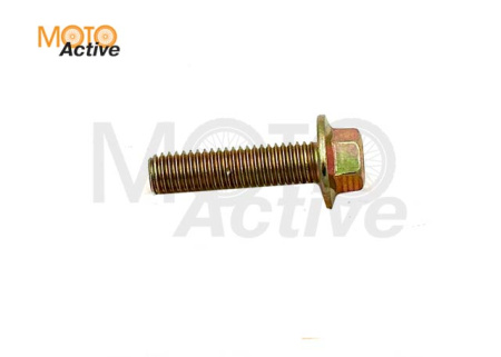 Болт М6х30 WELS EVOX200  (401001013002)