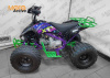Квадроцикл BSE XT-1 Play Station