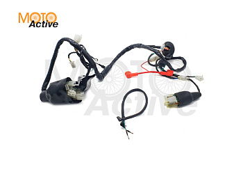 Жгут электропроводки Regulmoto TE