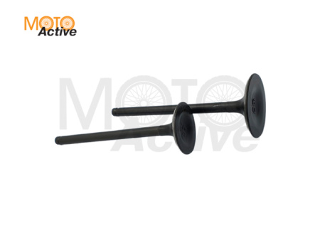 Клапаны ГРМ (компл.=2шт) 250см3 172FMM-3A ZS250 (CB250-F) X-TECH