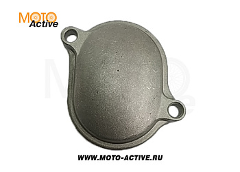 Крышка регулировочного отверстия (головки цилиндра ДВС), впускного клапана