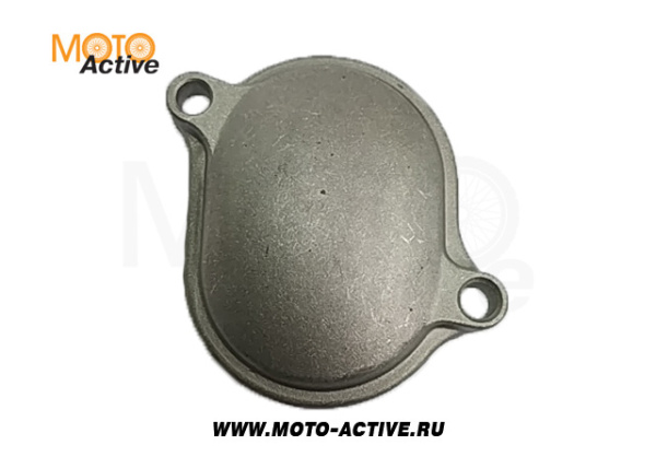 Крышка регулировочного отверстия (головки цилиндра ДВС), впускного клапана