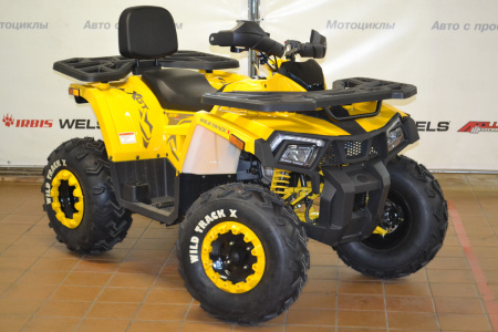 Запчасти для 200 WILD TRACK X