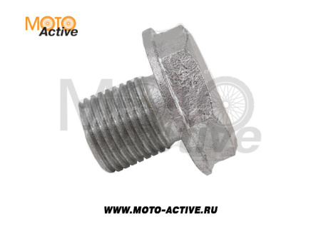 Болт М16х17 оси переднего колеса GR2