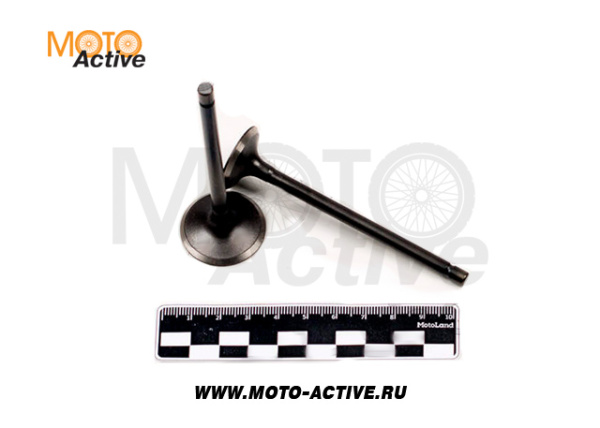 Клапаны (компл. 2шт) 4T двиг. 167FML-3 (CG200D-B)