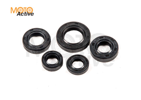 Набор сальников ZS155см3 (W150)