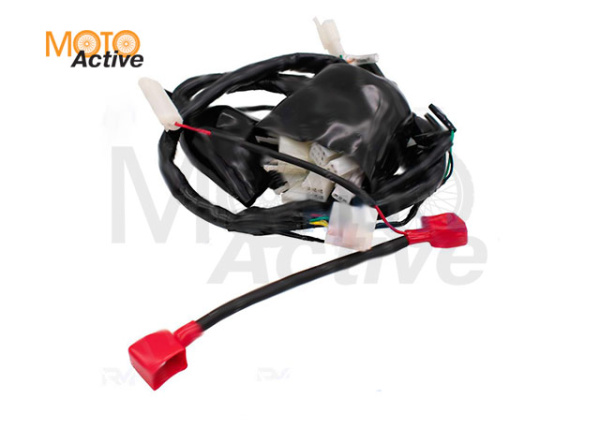 Жгут электропроводки Regulmoto Legend 300