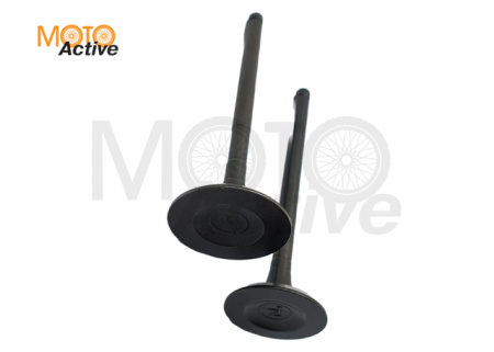 Клапаны компл=2шт 163QMK с балансиром