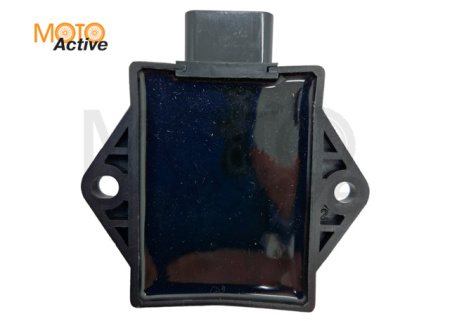 CDI KAYO двиг. ZS NC250 (вод.охл.) (P061338) CN