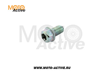 Болт М6х10 Trox T8