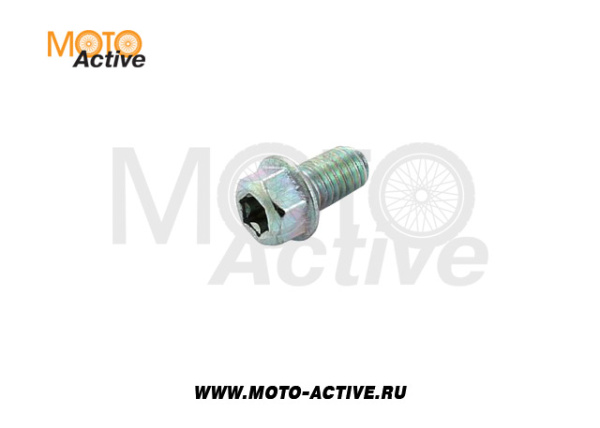 Болт М6х10 Trox T8