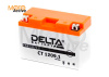 CT1209.1 Delta Аккумуляторная батарея