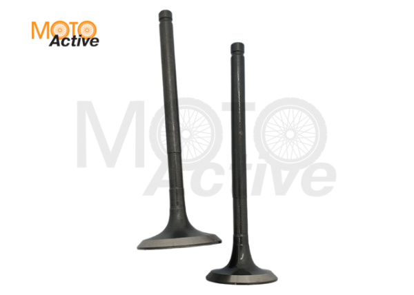 Клапаны компл=2шт 163QMK с балансиром