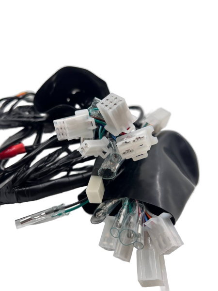 Жгут электропроводки Regulmoto DUKE