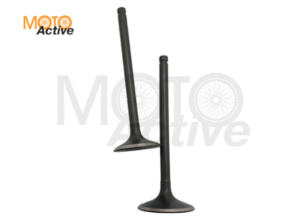 Клапаны ГРМ (компл.=2шт) 250см3 172FMM-3A ZS250 (CB250-F) X-TECH