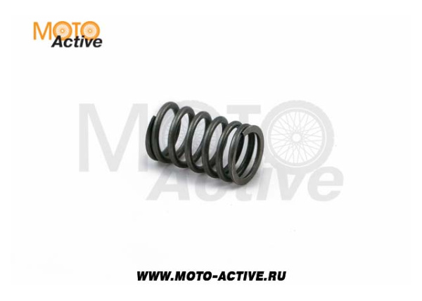 Пружины клапанов (компл=4шт) ГРМ 164FML,166FML,166FMM,170FMM (CBB/CBN)