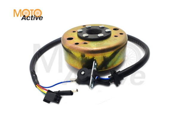 Генератор в сборе WELS EVOX200