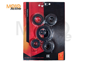 Набор сальников 16х28х7/22х35х7/34х50х7/20х24х7/14х28х7 162FMJ CG150