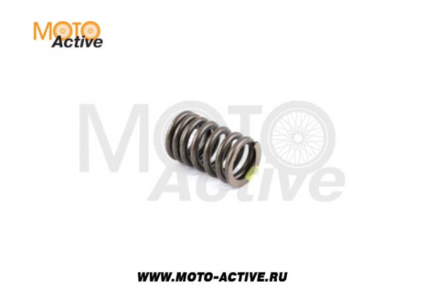 Пружины клапанов (компл=4шт) ГРМ 162FMJ,164FML,166FMM,167FMM (CGN/NT)