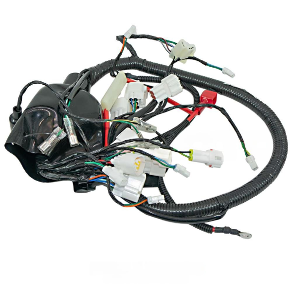 Жгут электропроводки Regulmoto Allroad