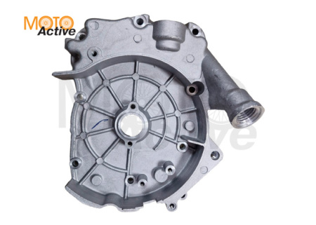 Крышка картера правая WELS EVOX200  (263258002001)