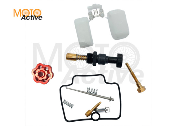 Ремкомплект карбюратора Nibbi PE19/22FL