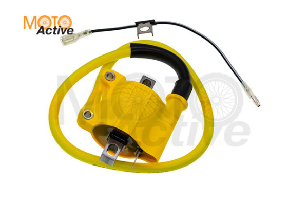 Катушка зажигания NIBBI 2T, 4T  для Kayo, Avantis, BSE, Regulmoto  "L"