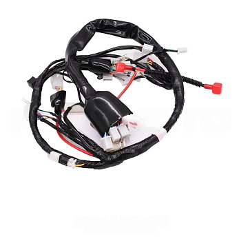 Жгут электропроводки Senke SK250-5, Raptor 250