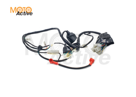 Жгут электропроводки Sport 003 PR250,300