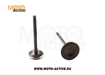 Клапаны (компл. 2шт) 161QMK-B2 200cc с реверсом