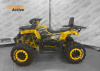 Запчасти для 200 WILD TRACK LUX Желтый