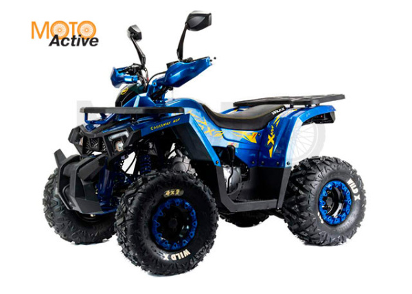 Комплект пластика (п) 125 WILD X баланс. вал.