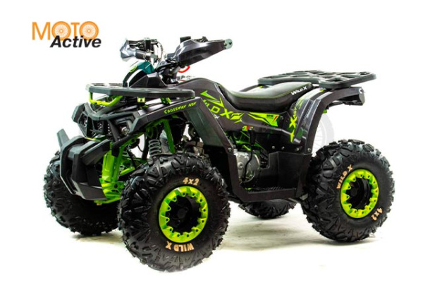 Комплект пластика (п) 125 WILD X баланс. вал.