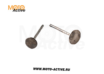 Клапаны (компл. 2шт) ZS W190 190cc 162YMJ X-TECH