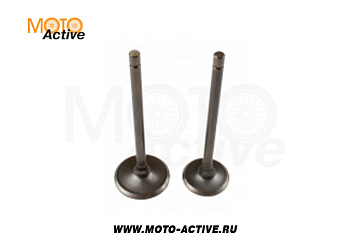 Клапаны (компл. 2шт) ZS W190 190cc