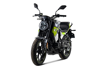 TMBK MONTANA Grey Green