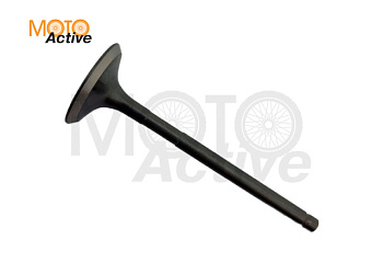 Клапан впускной WELS EVOX200 (263084001001)