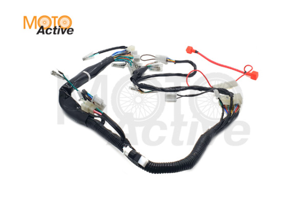 Жгут электропроводки RM125