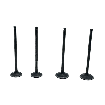 Клапаны (компл. 4шт) NIBBI облегченные ZS177MM (NC250, NC300)