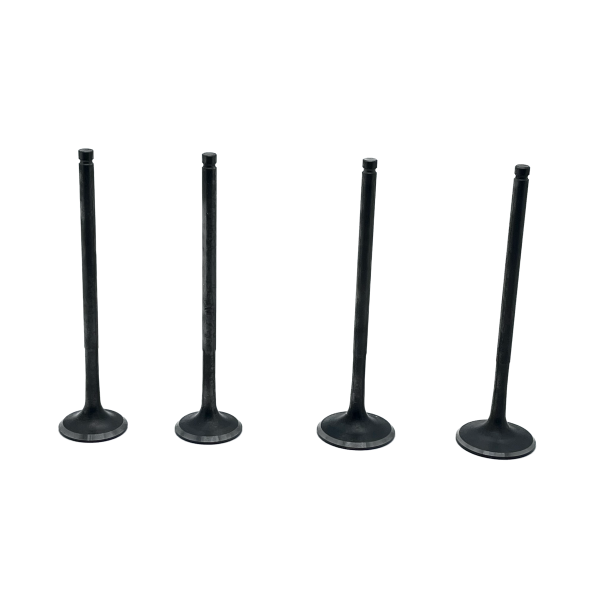 Клапаны (компл. 4шт) NIBBI облегченные ZS177MM (NC250, NC300)