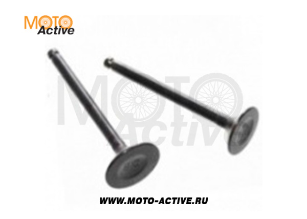 Клапаны (компл. 2шт) 152FMH 110см3