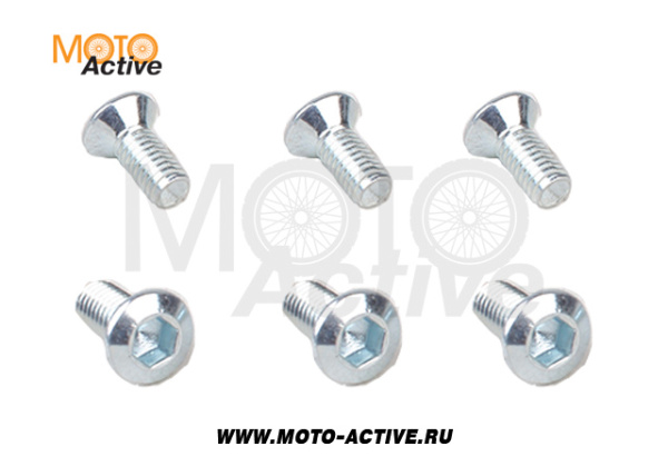 Комплект болтов тормозного диска (6шт.) SM-PARTS SM-DB01