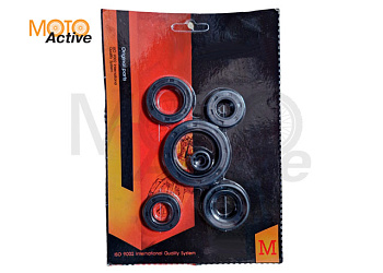 Набор сальников 169FMM (CB250)