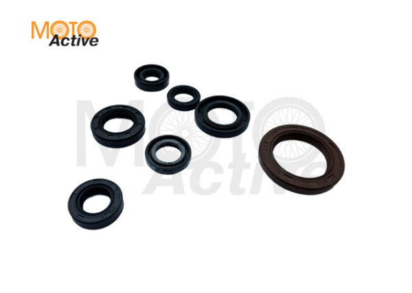 Сальники (набор) двиг. ZS177MM (NC250)