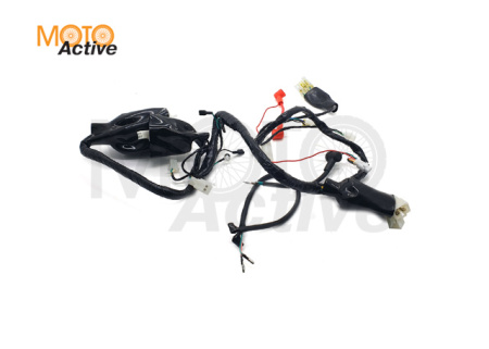 Жгут электропроводки Regulmoto TE